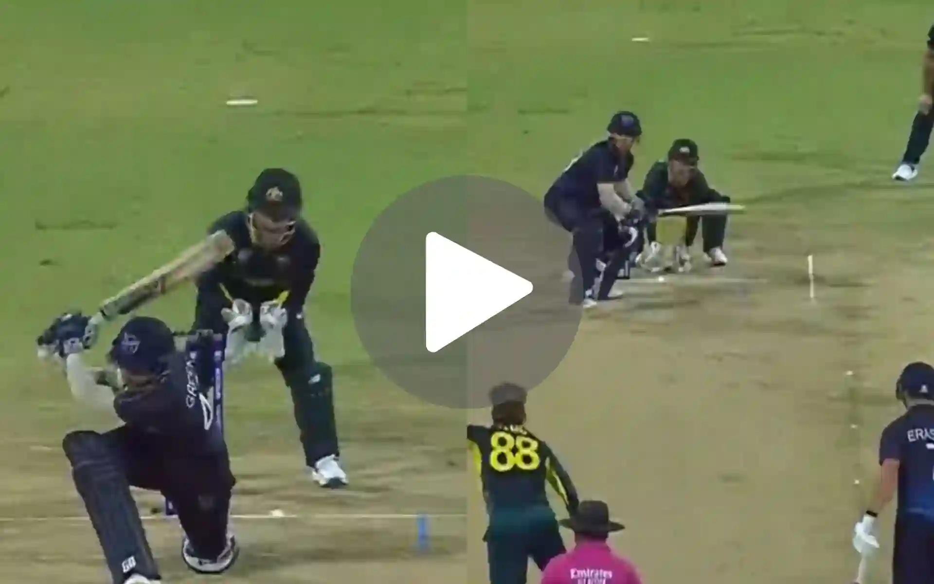 [Watch] Brilliant Zampa 'Foxes' Zane Green With His Special Leg-Break Delivery